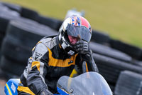 PJ-Motorsport-2019;anglesey-no-limits-trackday;anglesey-photographs;anglesey-trackday-photographs;enduro-digital-images;event-digital-images;eventdigitalimages;no-limits-trackdays;peter-wileman-photography;racing-digital-images;trac-mon;trackday-digital-images;trackday-photos;ty-croes